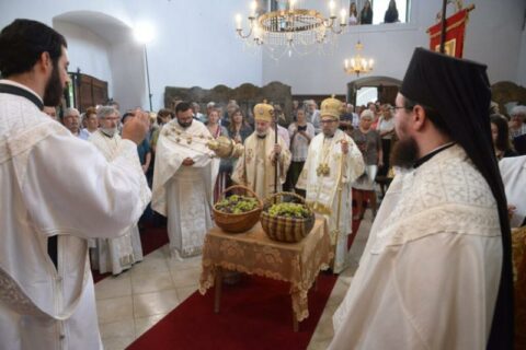 Сeнтандреја
