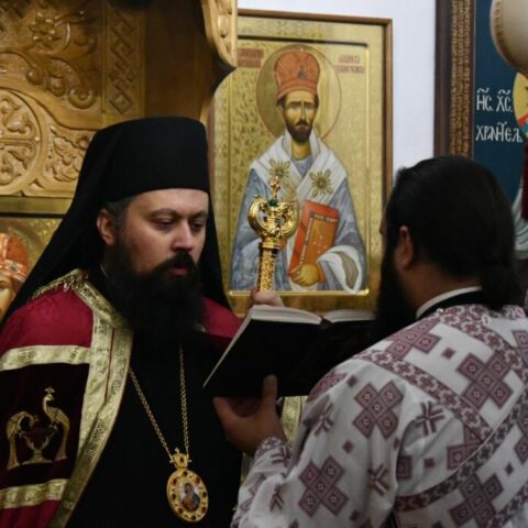 Бденије Цетињски манастир 2