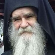 Mitropolit Crnogorsko Primorski Amfilohije