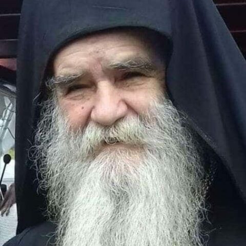 Mitropolit Crnogorsko Primorski Amfilohije