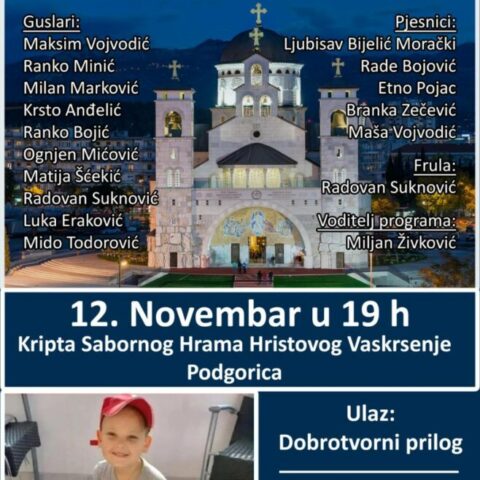 Najava Humanitarno Vece Za Maksima