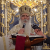 Vladika Backi Irinej Futog