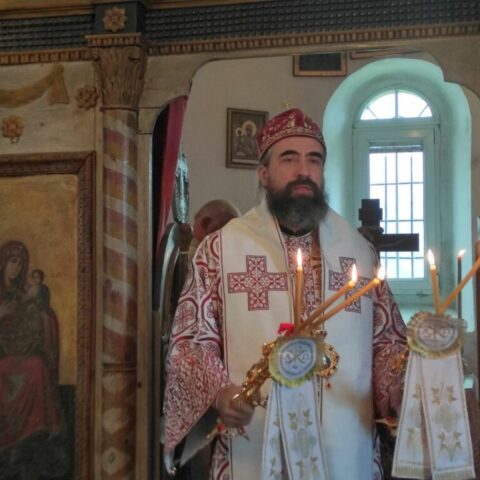 Vladika Metodije Ozrinici
