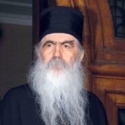 Епископ бачки др Иринеј Буловић