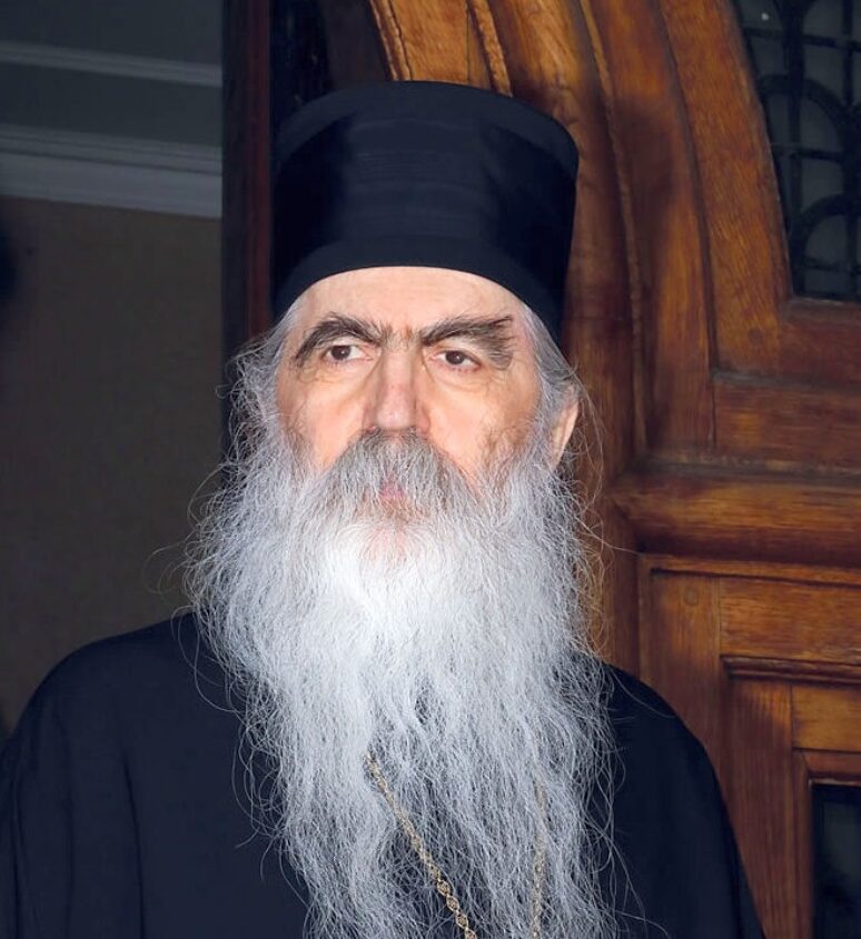 Епископ бачки др Иринеј Буловић