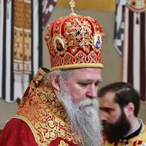 Митрополит Јоаникије
