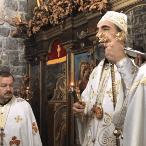 Владика Методије