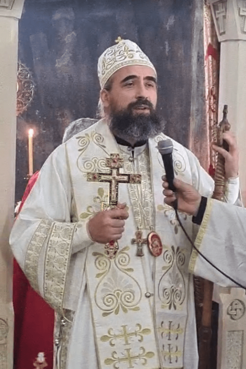 Владика Методије