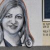 Mural Posvećen Dr Sonji Rakočević