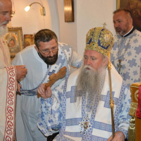 Митрополит Јоаникије