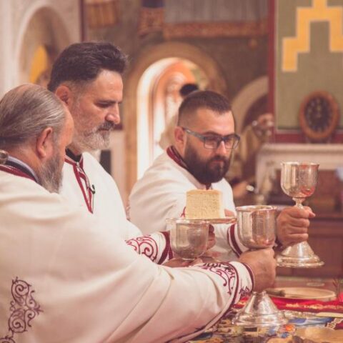 О. Предраг Шћепановић