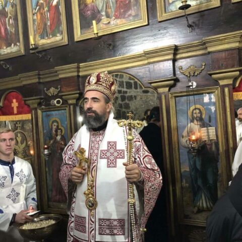Владика Методије 1