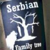 Вандализам у Винковцима