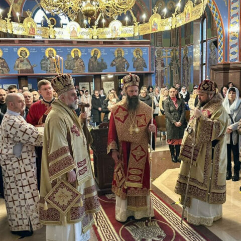 Беседа Епископа Илариона у Диселдорфу