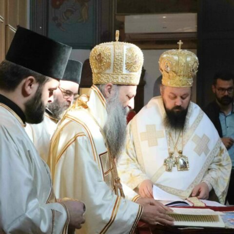 патријарх земун