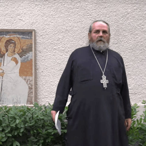 Отац Драган Станишић
