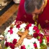 О. Никола Пејовић