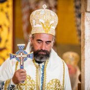 Његово Преосвештенство Епископ будимљанско никшићки Г. Методије