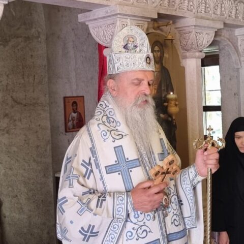 Владика Теодосије