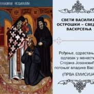 Рођење, детињство и одлазак у манастир Стојана Јовановића, потоњег владике Василија