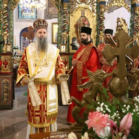 Слава Николајевске цркве у Земуну