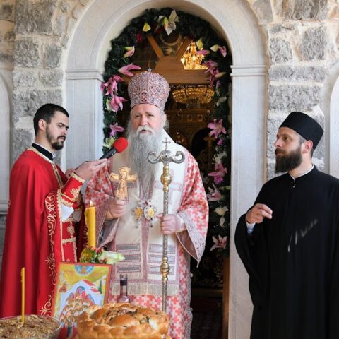Митрополит Јоаникије Момишићи