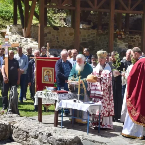 Davidovica Cveti 31a