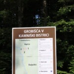 Img 7323