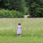Img 7383