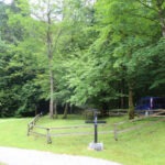 Img 7412