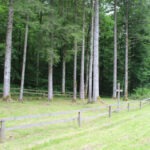Img 7414