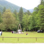 Img 7415