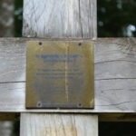 Img 7418