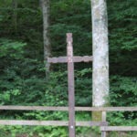 Img 7419