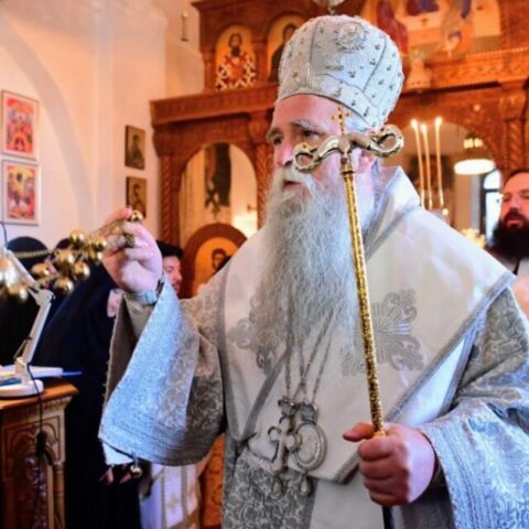 Митрополит Јоаникије