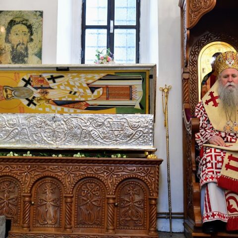 Митрополит Јоаникије у манастиру Ждребаоник