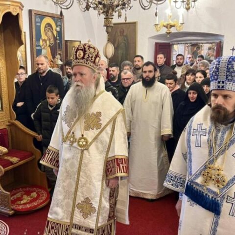 Владика Пајсије