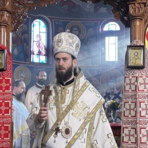 Vladika Petar