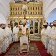 Владика Пајсије