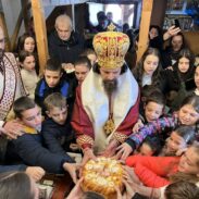 Владика Пајсије у Дољанима