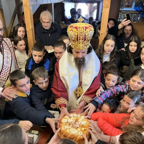 Владика Пајсије у Дољанима