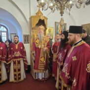 Митрополит Јоаникије