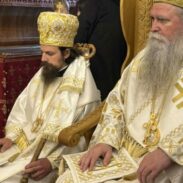 Митрополит Јоаникије