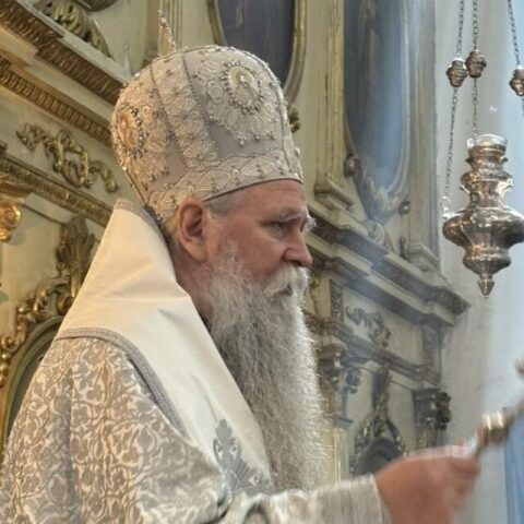 Митрополит Јоаникије