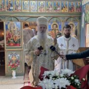 Митрополит Теодосије