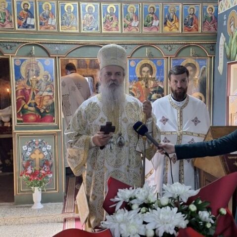 Митрополит Теодосије
