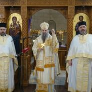 Njegova Svetost Patrijarh srpski g. Porfirije