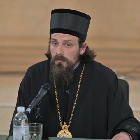 Владика Пајсије