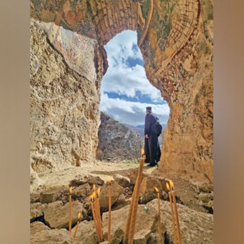 (Фото Живојин Ракочевић)