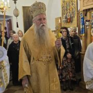Митрополит Јоаникије